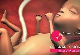 3rd Month of Pregnancy – Definitive Guide For Pregnancy Month 3 | Week(9,10,11,12,13